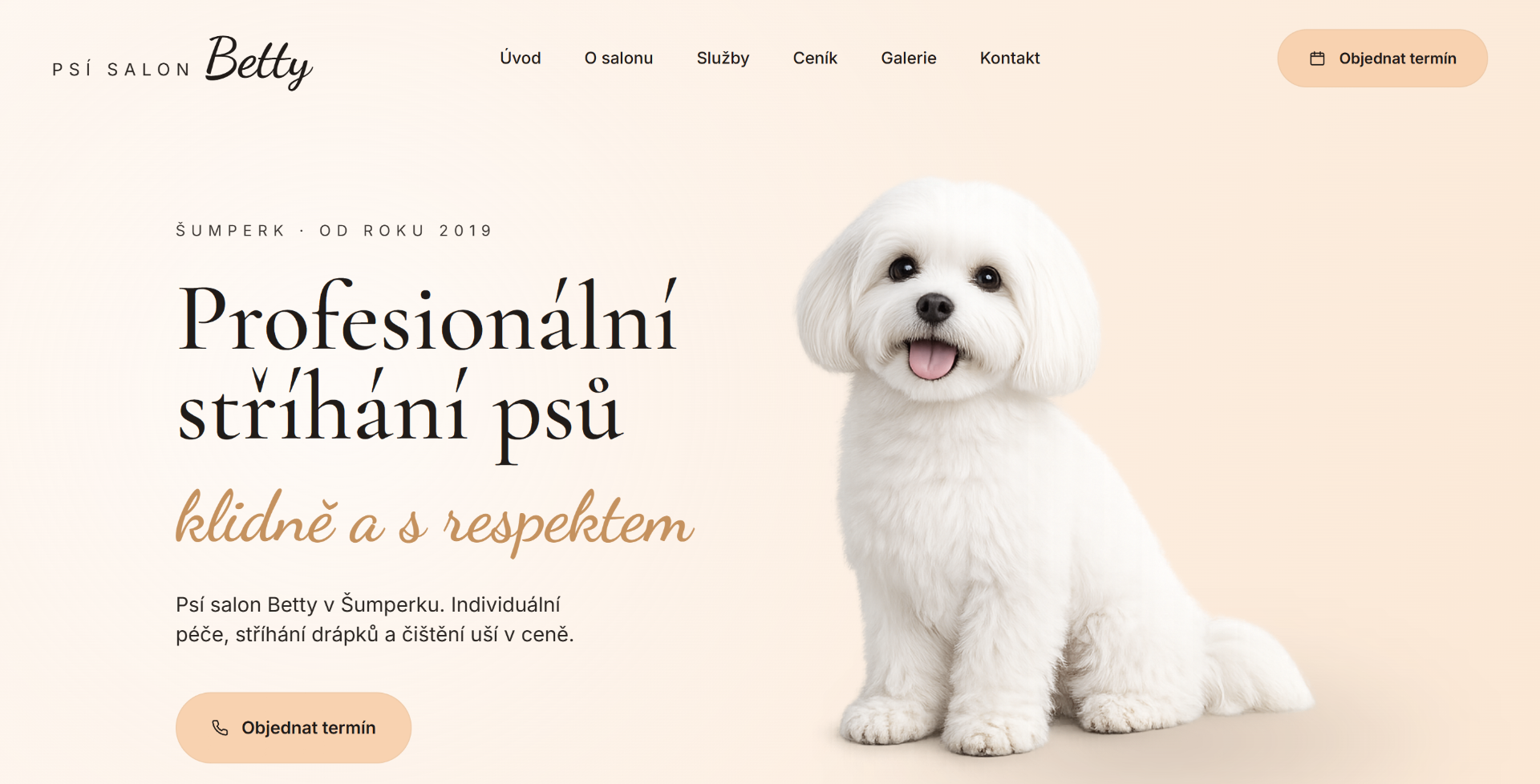 Psí salon Betty – úvodní sekce webu